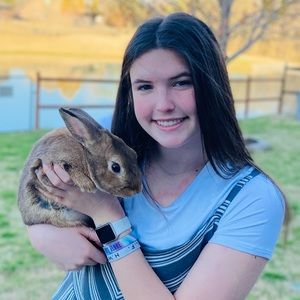 Meet your Posher, Bailey